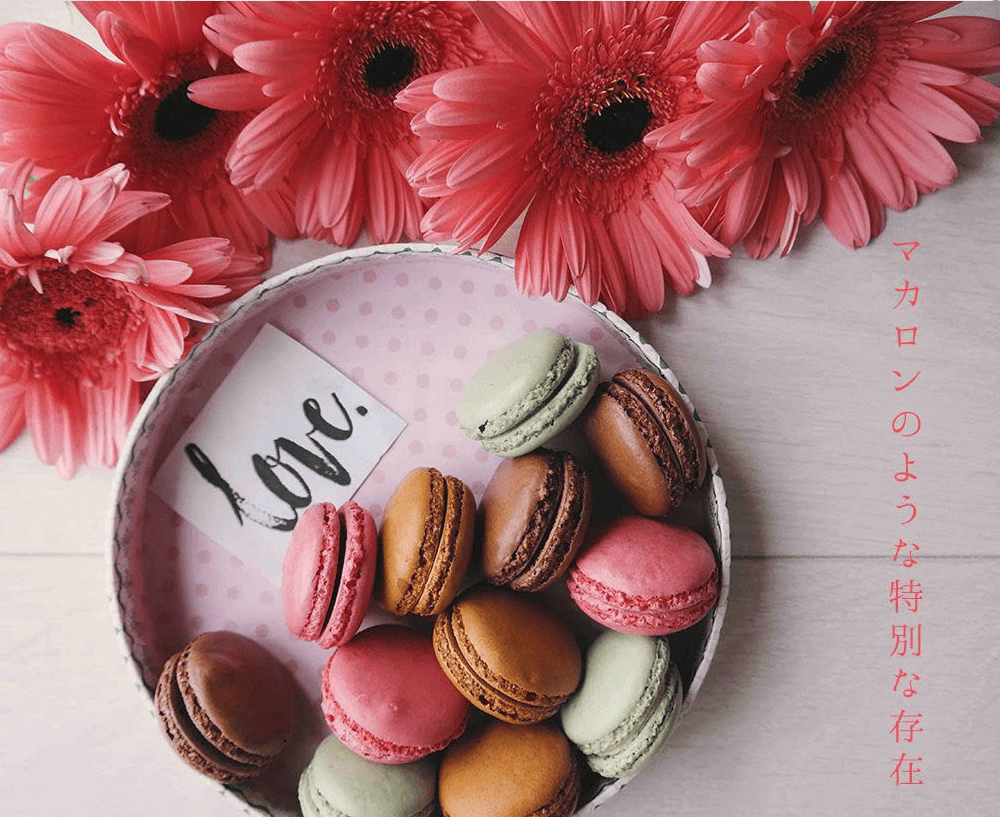 Sandii macaron