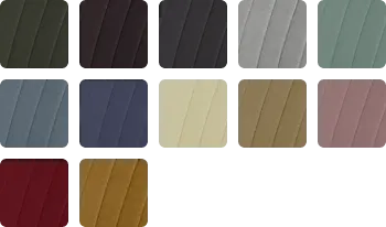 COLOR