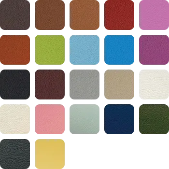 COLOR