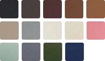 COLOR