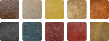 COLOR