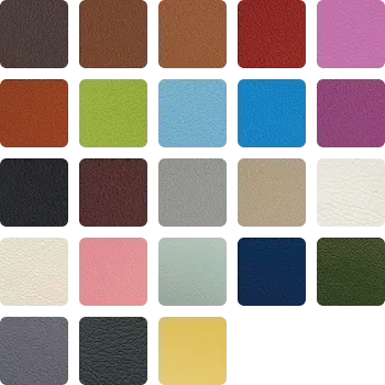 COLOR