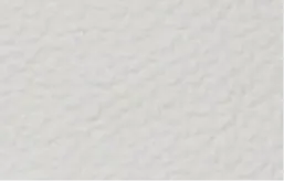 スノーホワイト