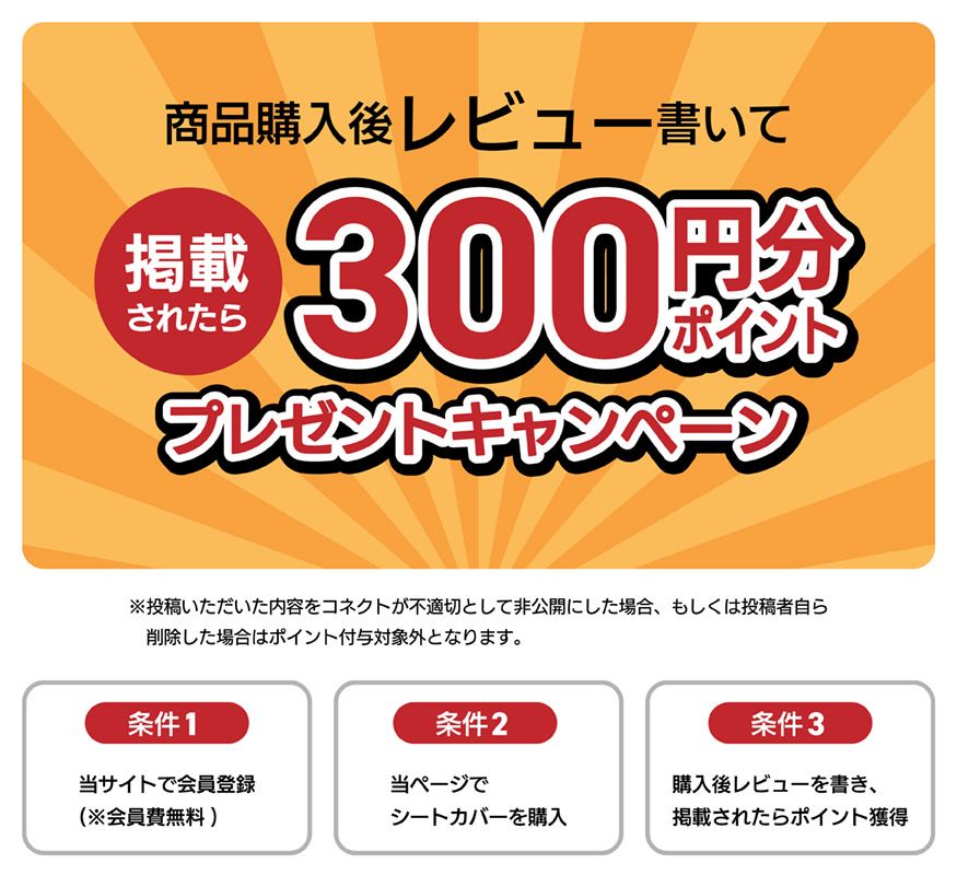 購入後レビューを書いて掲載されたら300ポイントプレゼントキャンペーン